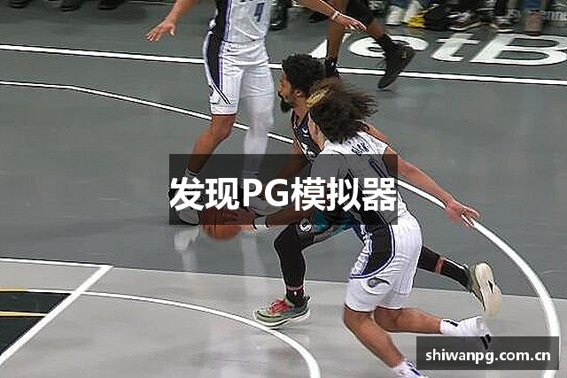 发现PG模拟器